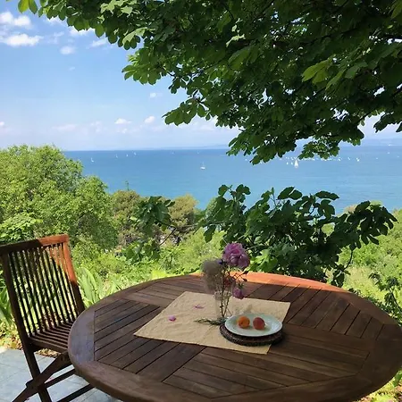 Zankolic Apartment Jagodje
