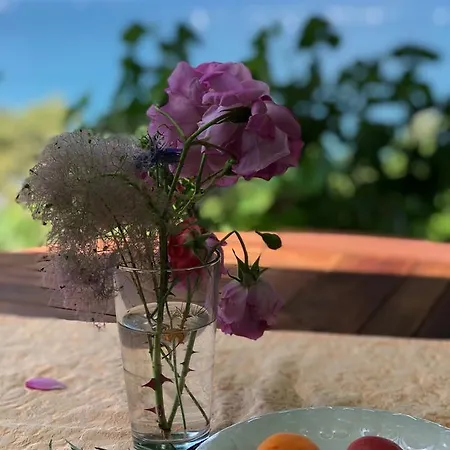 Zankolic Διαμέρισμα