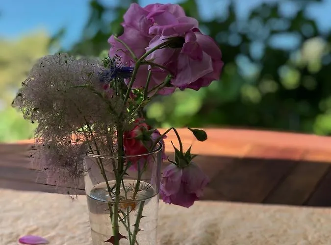 Zankolic アパート