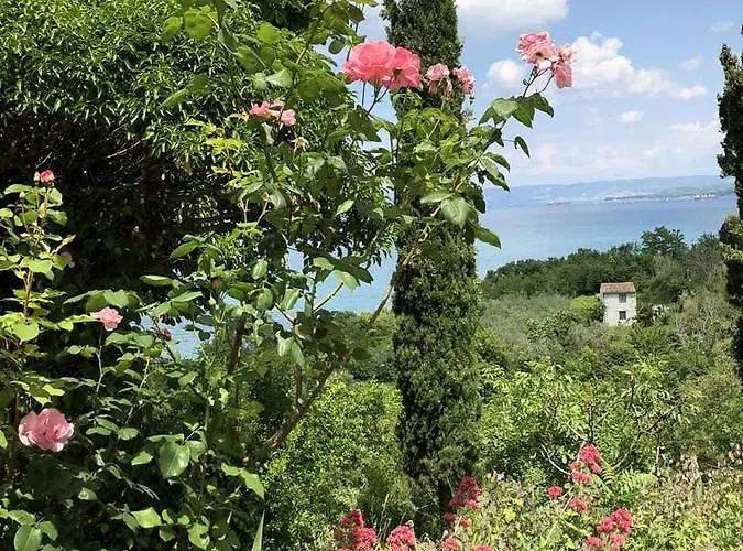 アパート Zankolic *